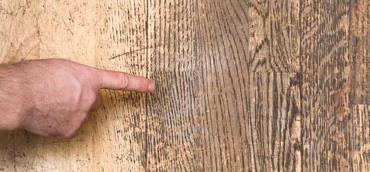 Wood Door Scratch Repair in Burlingame